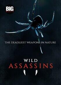 Wild Assassins