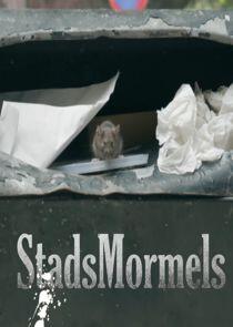 Stadsmormels