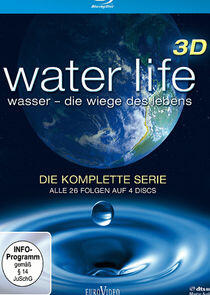 Water Life