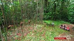 Go With Your Heart Go With Your Heart