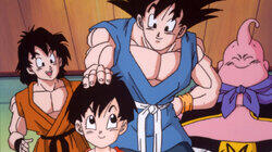 Buu's Reincarnation Buu's Reincarnation