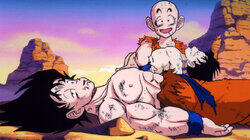 Picking Up the Pieces Picking Up the Pieces