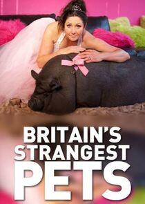 Britain's Strangest Pets