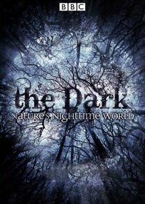 The Dark: Nature's Nighttime World