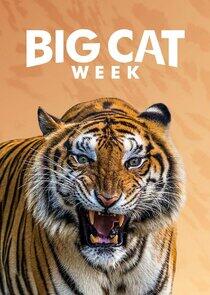 Big Cat Week