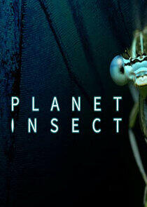 Planet Insect