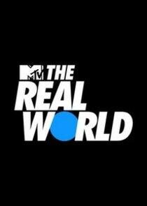 The Real World - Season 33