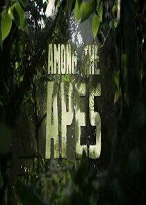 Among the Apes