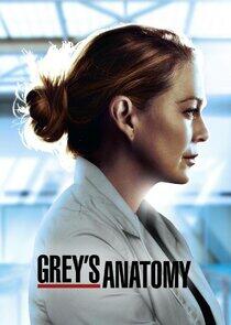 Grey's Anatomy - Season 17