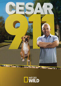 Cesar 911