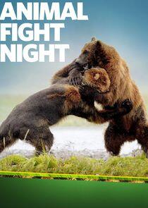 Animal Fight Night