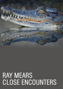 Ray Mears: Close Encounters