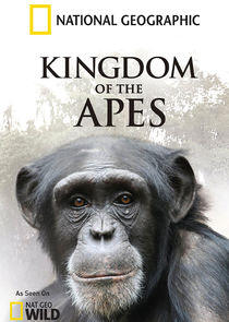 Kingdom of the Apes