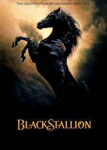 The Adventures of the Black Stallion