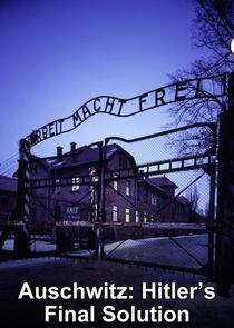 Auschwitz: Hitler's Final Solution