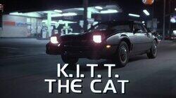 K.I.T.T. the Cat