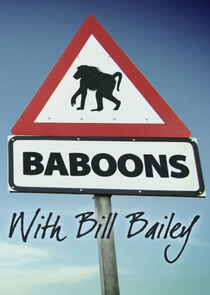 Baboons with Bill Bailey