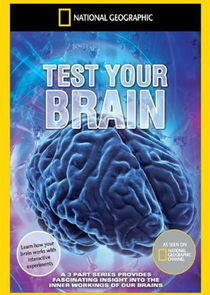 Test Your Brain