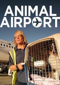 Animal Airport - Season 2