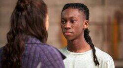 The Favourite The Favourite