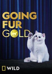 Going Fur Gold