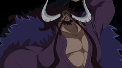 Kaido Returns - The Worst Generation Threatened!