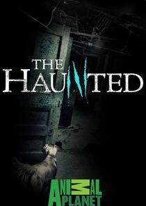 The Haunted