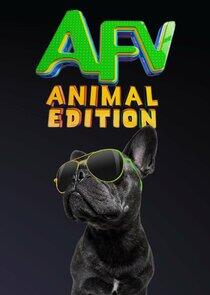 America's Funniest Home Videos: Animal Edition