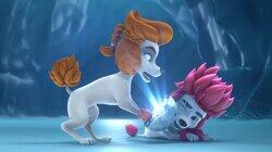 Beware The Werebear Beware The Werebear