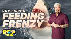 Guy Fieri's Feeding Frenzy