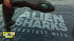 Alien Sharks: Greatest Hits