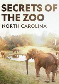 Secrets of the Zoo: North Carolina