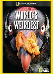 World's Weirdest