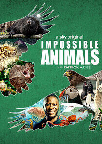 Impossible Animals