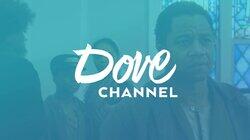 logo of Dove Channel