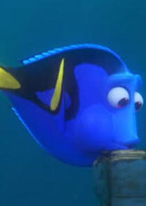 Dory