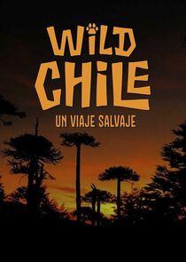 Wild Chile: Un Viaje Salvaje