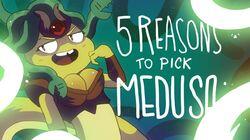 5 REASONS TO PICK MEDUSA