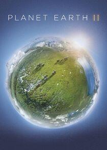 Planet Earth II