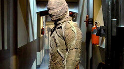 The Mummy