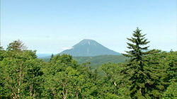 Summer on Mt. Yotei