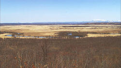 Kushiro Wetland