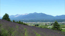 The Flowering Mountain, Mt. Furanodake