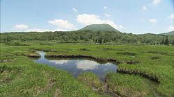 Early Summer in Niseko