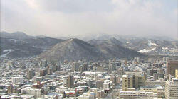 Forests in Sapporo, Winter