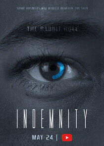 INDEMNITY: The Rabbit Hole