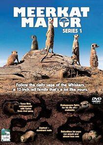 Meerkat Manor - Season 1