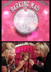 Barking Mad: The Welsh Dog Spa