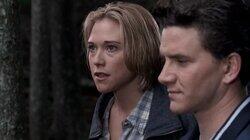 Darwin's Eye Darwin's Eye