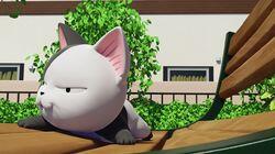 Chi Cools Off Chi Cools Off